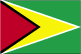 Masters International Business in Guyana